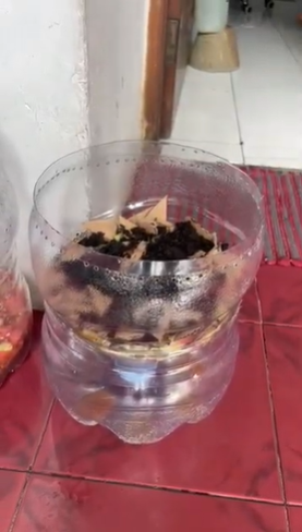 Pupuk organi yang dibuat menggunakan sisa-sisa makanan